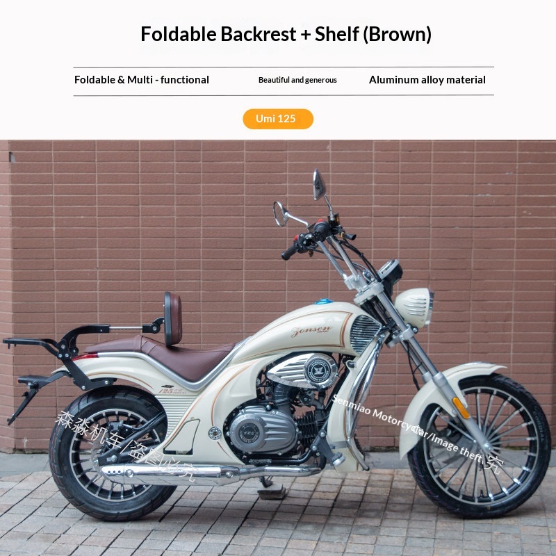【Premium】For Zongshen Lemi/You - Tail Bag Rack review and price